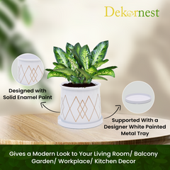 Dekornest Printed Pot With Tray (1265)