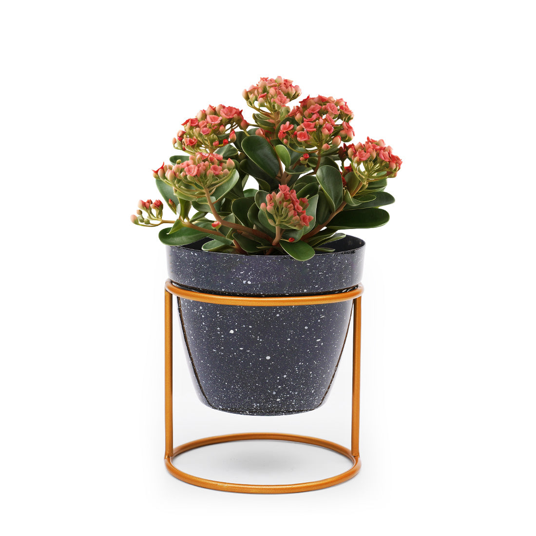 Dekornest Small Pot with Stand (1501)